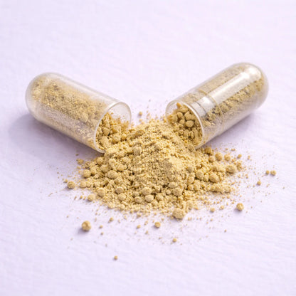 An open capsule of Balance by ARYA Lab filled with a yellow powdery substance on a white background